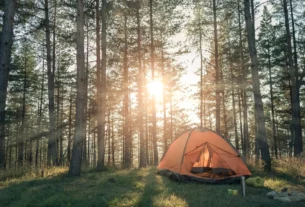 Acampar com pet