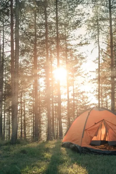 Acampar com pet