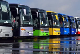 Viajar de ônibus com cachorro
