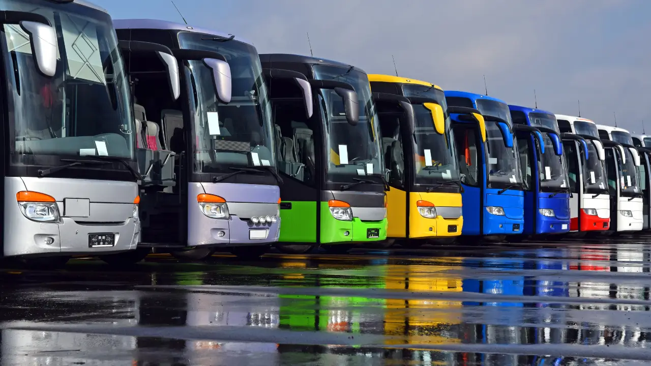 Viajar de ônibus com cachorro