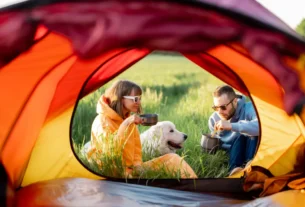 Guardar Comida ao Acampar com Cachorro