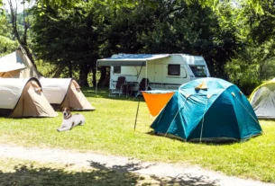 Acampar com Cachorro Fora do Brasil