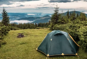 Acampar com Cachorro em Tempo de Chuva