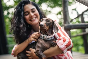 Economizar Espaço e Tempo ao Acampar com Cachorro