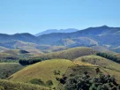 Passeios Pet Friendly em Águas da Prata SP