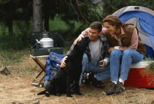 Acampar com cachorro no Brasil
