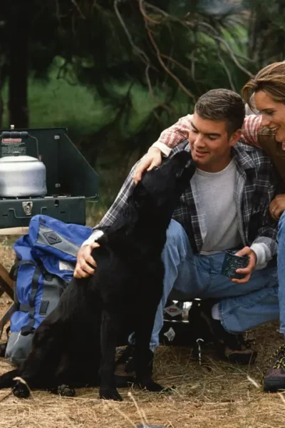 Acampar com cachorro no Brasil