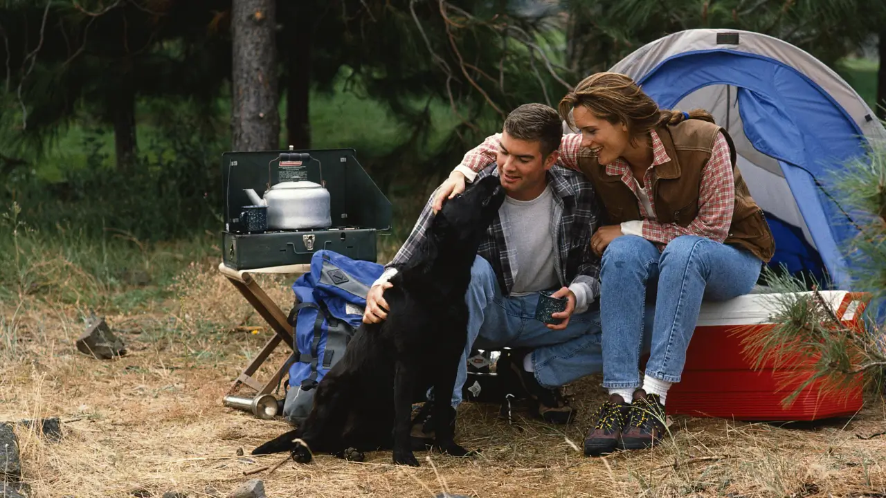 Acampar com cachorro no Brasil