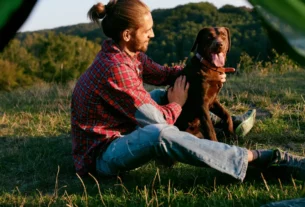 O Que Levar para Acampar com Cachorro