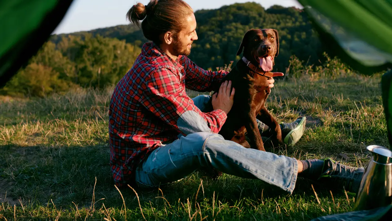 O Que Levar para Acampar com Cachorro