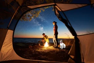 espaço do cachorro seco e sem insetos no camping