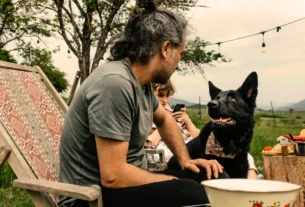 Como Ensinar o Cachorro a Respeitar Outros Campistas