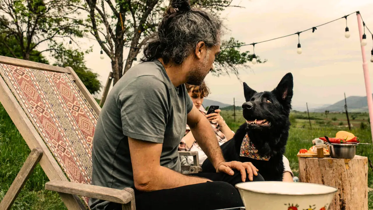 Como Ensinar o Cachorro a Respeitar Outros Campistas
