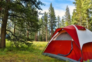 Montar a Acomodação ao Acampar com Cachorro