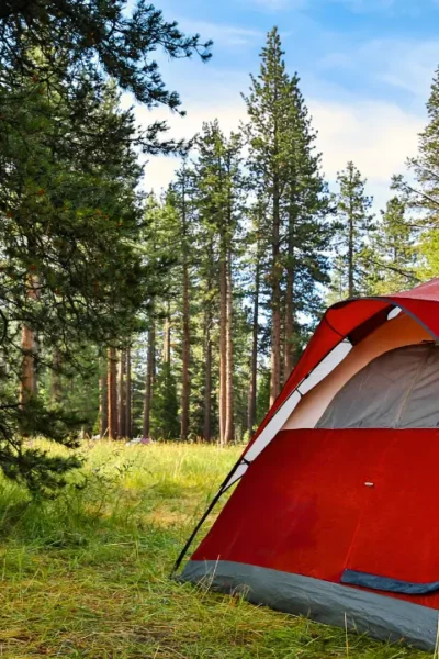 Montar a Acomodação ao Acampar com Cachorro