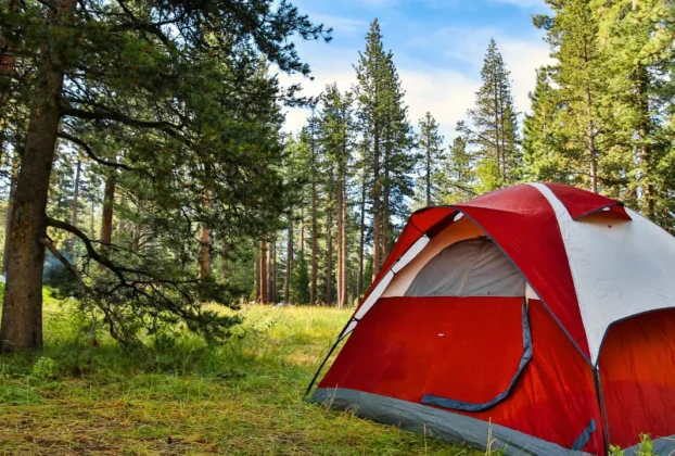 Montar a Acomodação ao Acampar com Cachorro