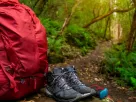 Camping com Cachorro em Trilhas Curtas