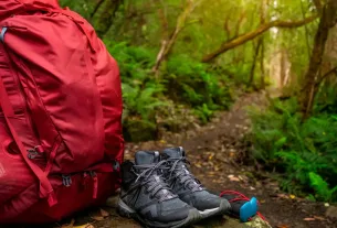 Camping com Cachorro em Trilhas Curtas