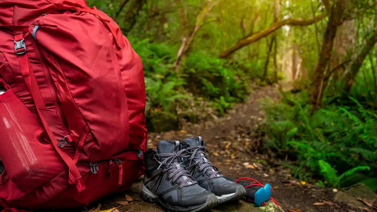 Camping com Cachorro em Trilhas Curtas
