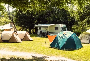 Acampar com Cachorro sem Carro em São Paulo