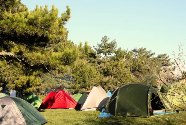 Camping para Cachorros com Mobilidade Reduzida