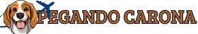 News Portal
